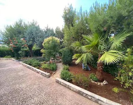 Villa Adelaide Ceglie Messapica Εξωτερικό φωτογραφία