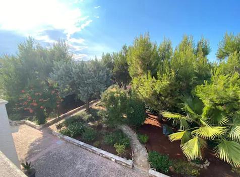 Villa Adelaide Ceglie Messapica Εξωτερικό φωτογραφία